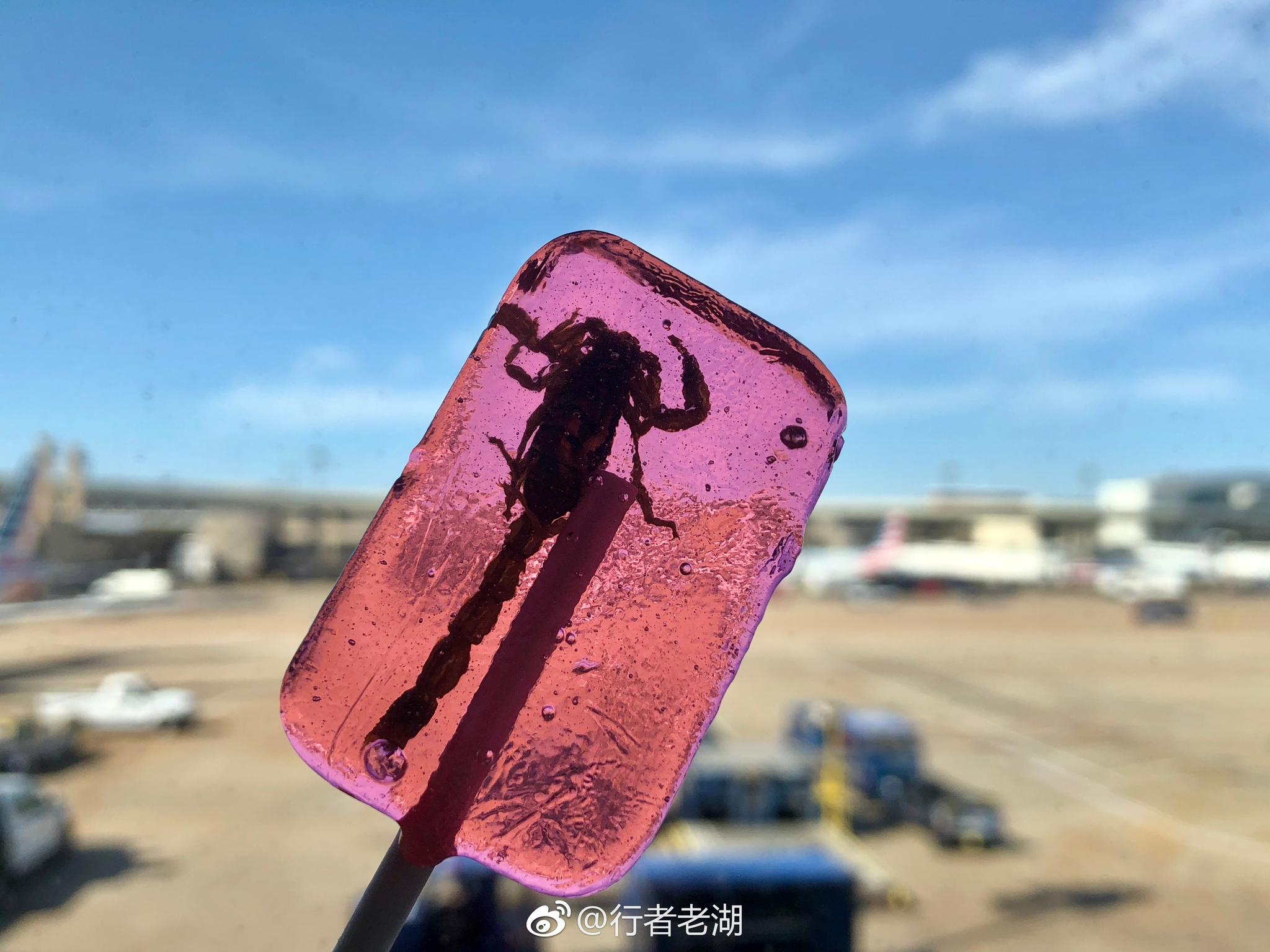 世界上最可怕最奇怪的棒棒糖,没有之一,蝎子棒棒糖,你敢吃吗