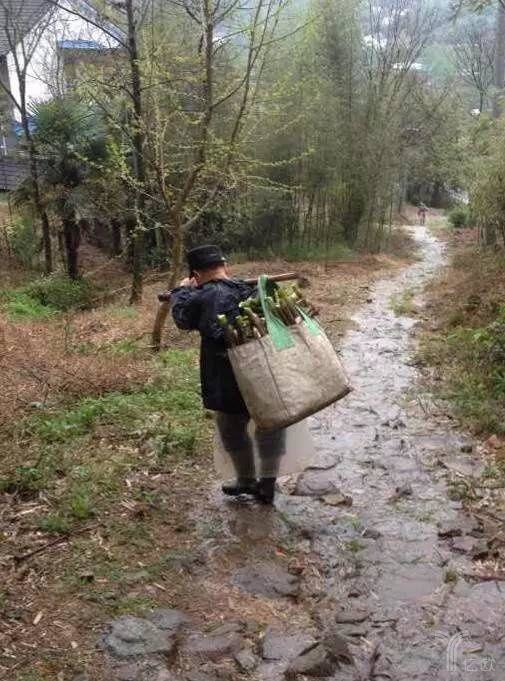 发了一条朋友圈感慨其不易,并配了笋农背着锄头下山的背影图