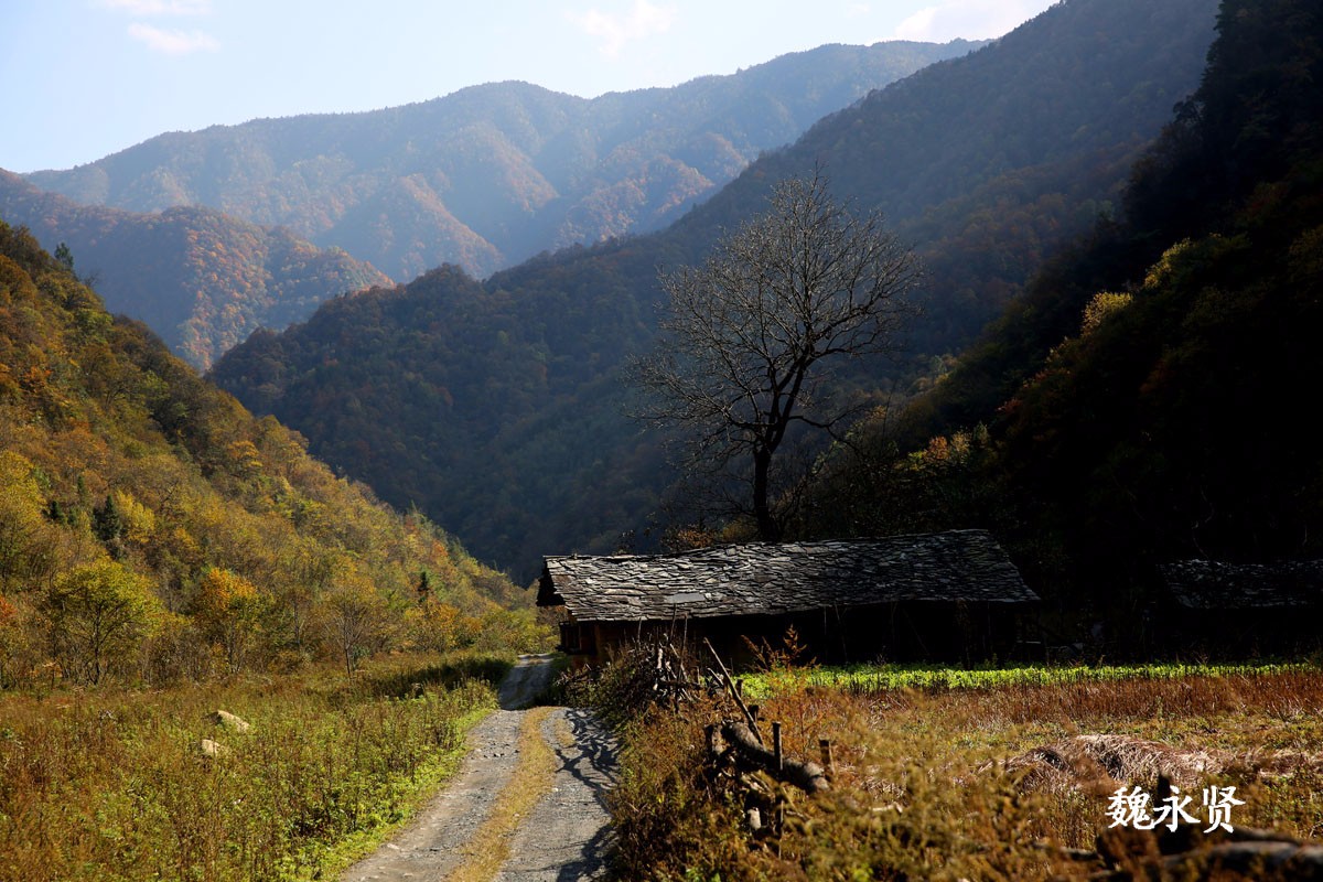 深山里的原住民弃石板房搬离 留下绝美风景