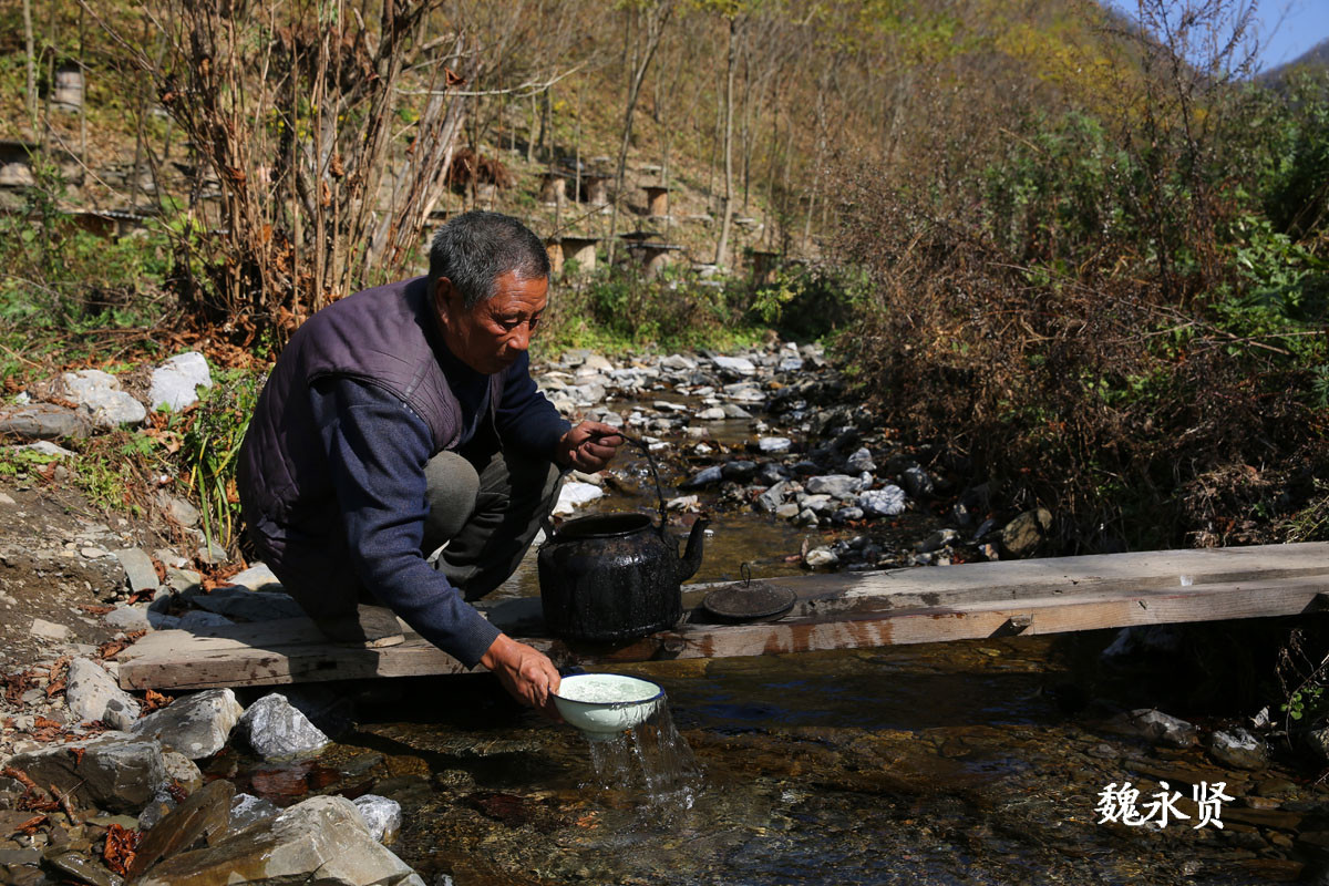 流落他乡60年黑户进深山养蜂 现在有户口了