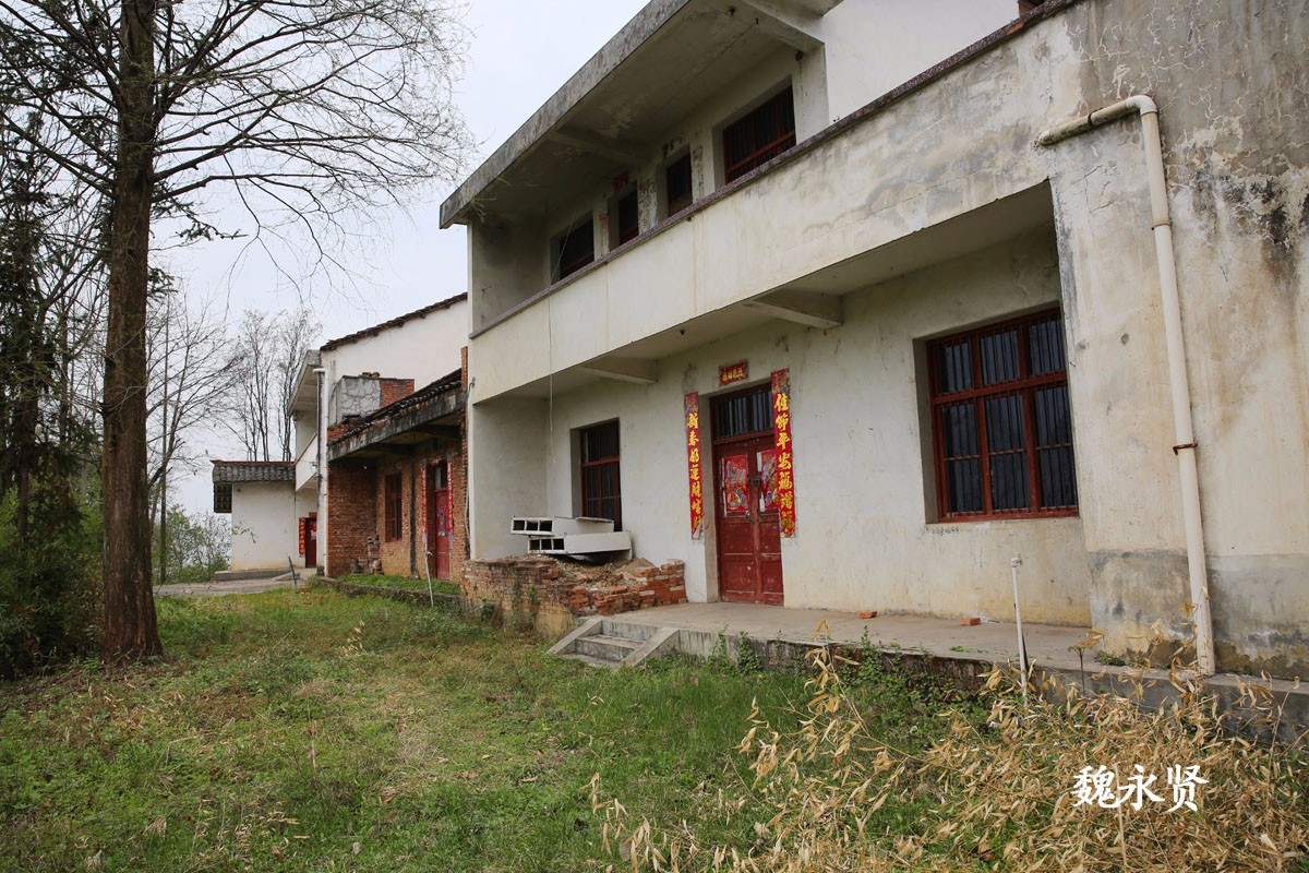 乡村很美却留不住人 不少房子常年无人住荒了_新浪看点