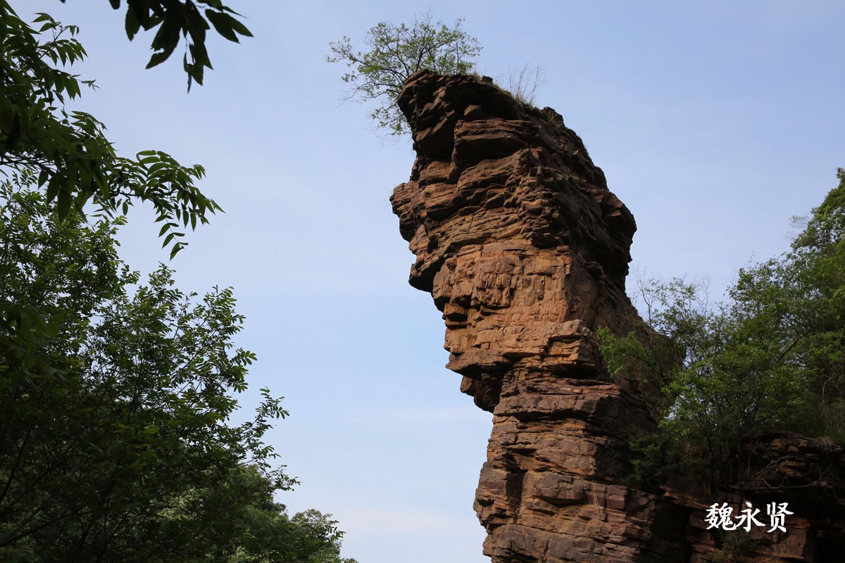 河南九峰山森林公园开园游客络绎不绝