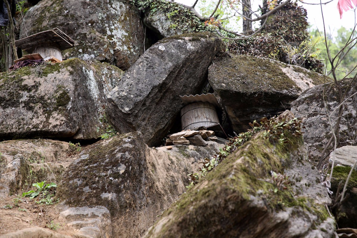 土蜂怎么消灭 家里有蜜蜂怎么办