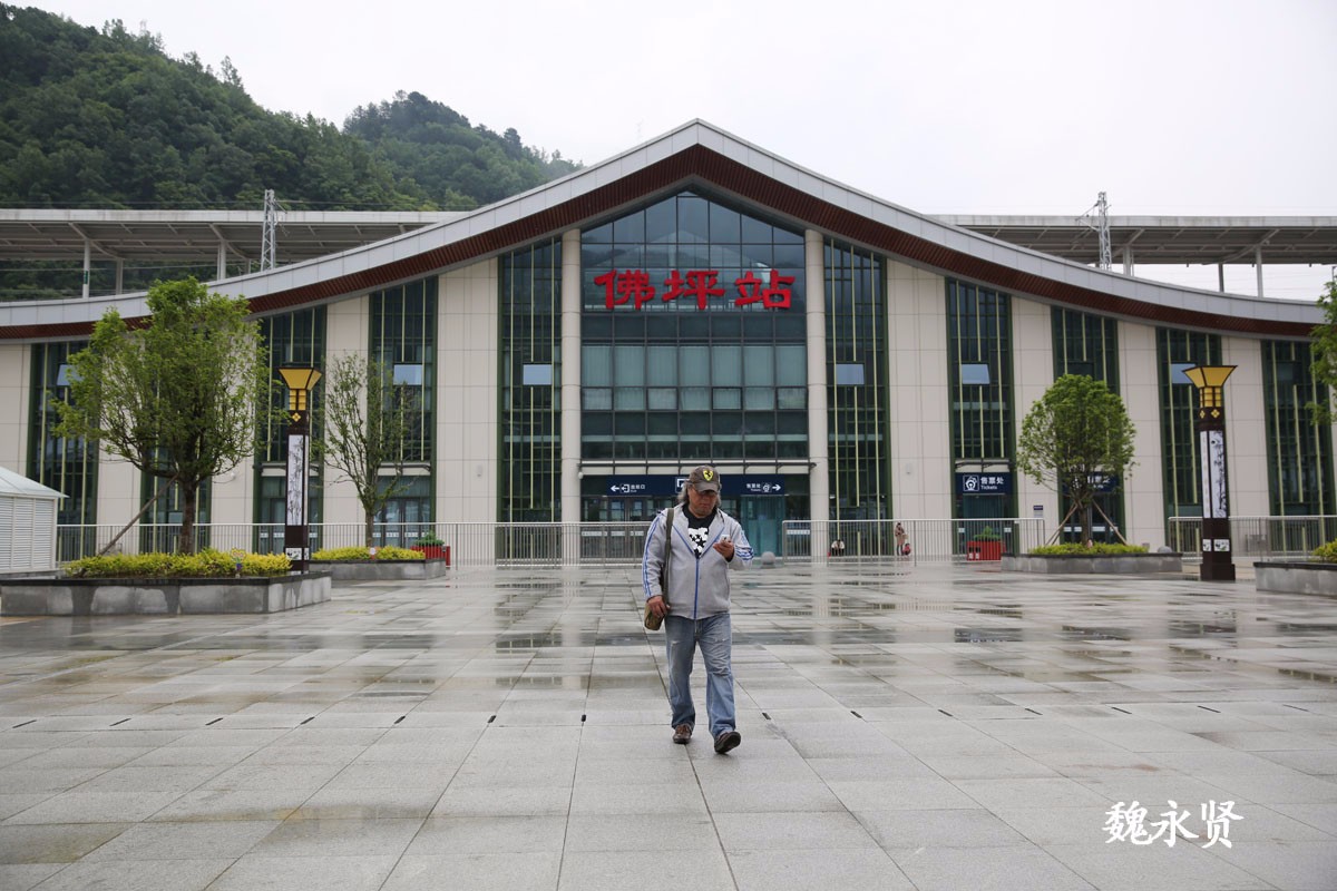 西成高铁开通后,兰侠每周坐高铁往返西安佛坪,40多分钟的车程让兰侠