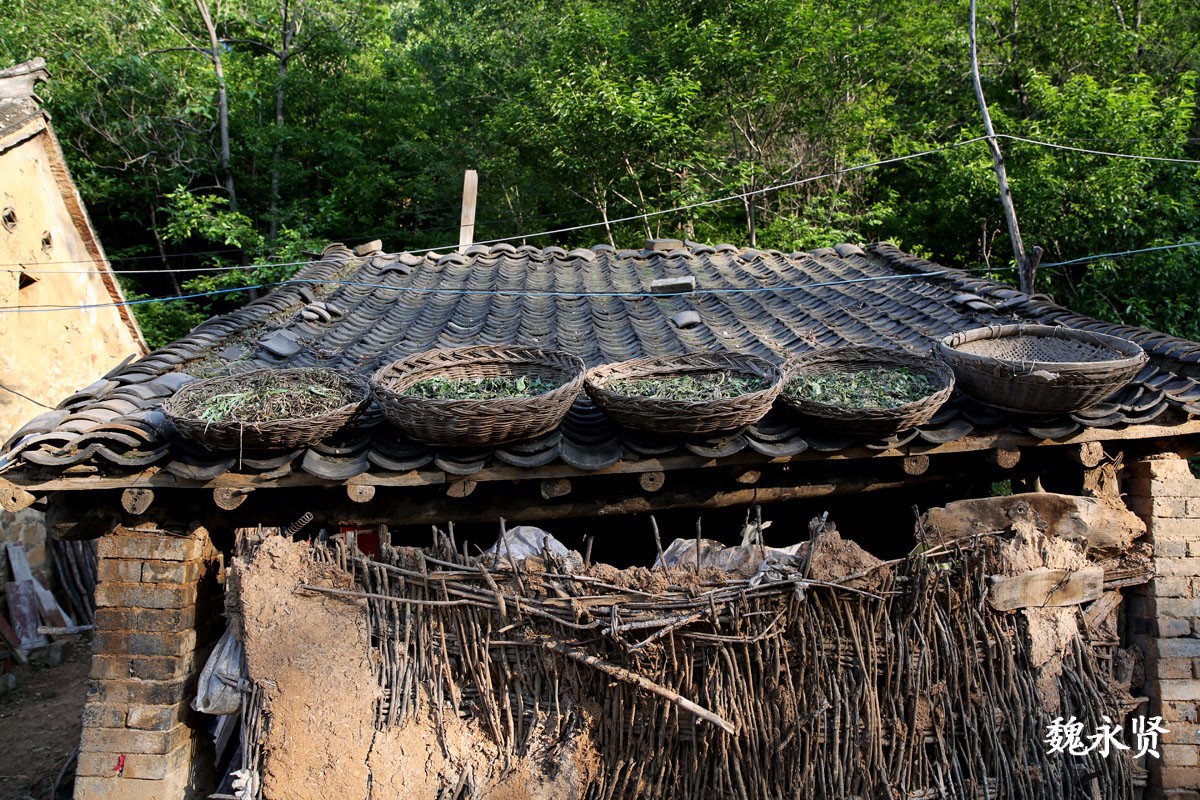 大山里的空巢老人 守着老房子盼儿女回家