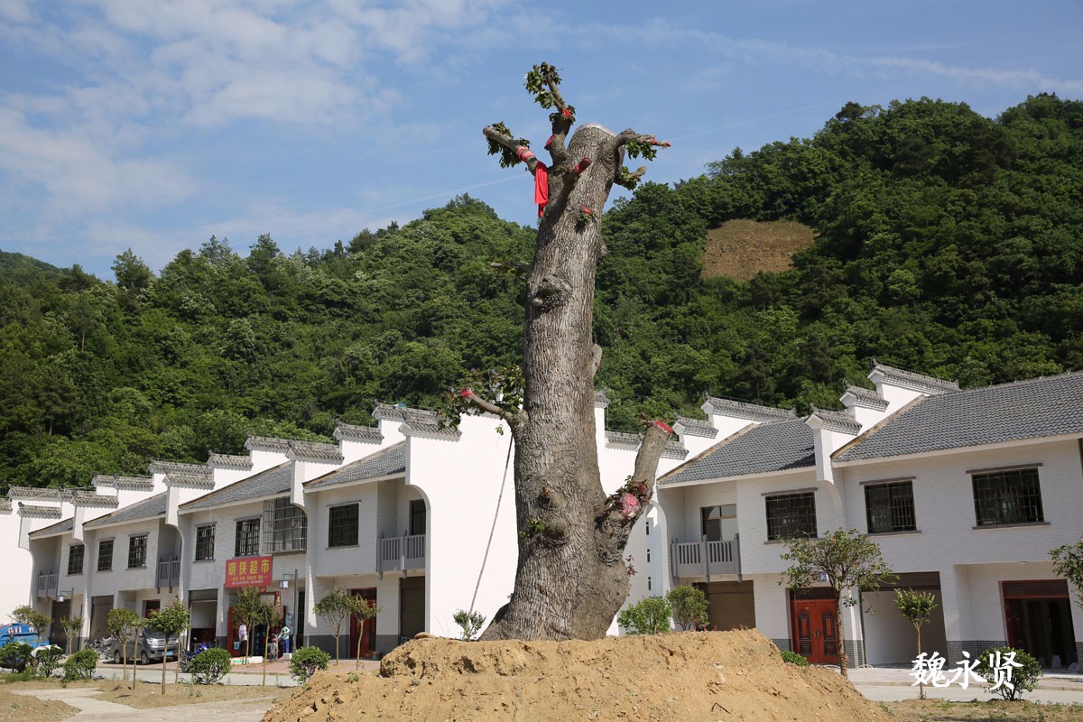 佛坪石墩河老镇将沉入水库底 新镇已建好