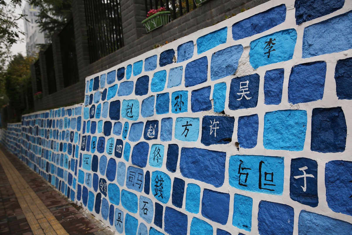 马路边的石头围墙成了"荷池",虚拟自然也清新