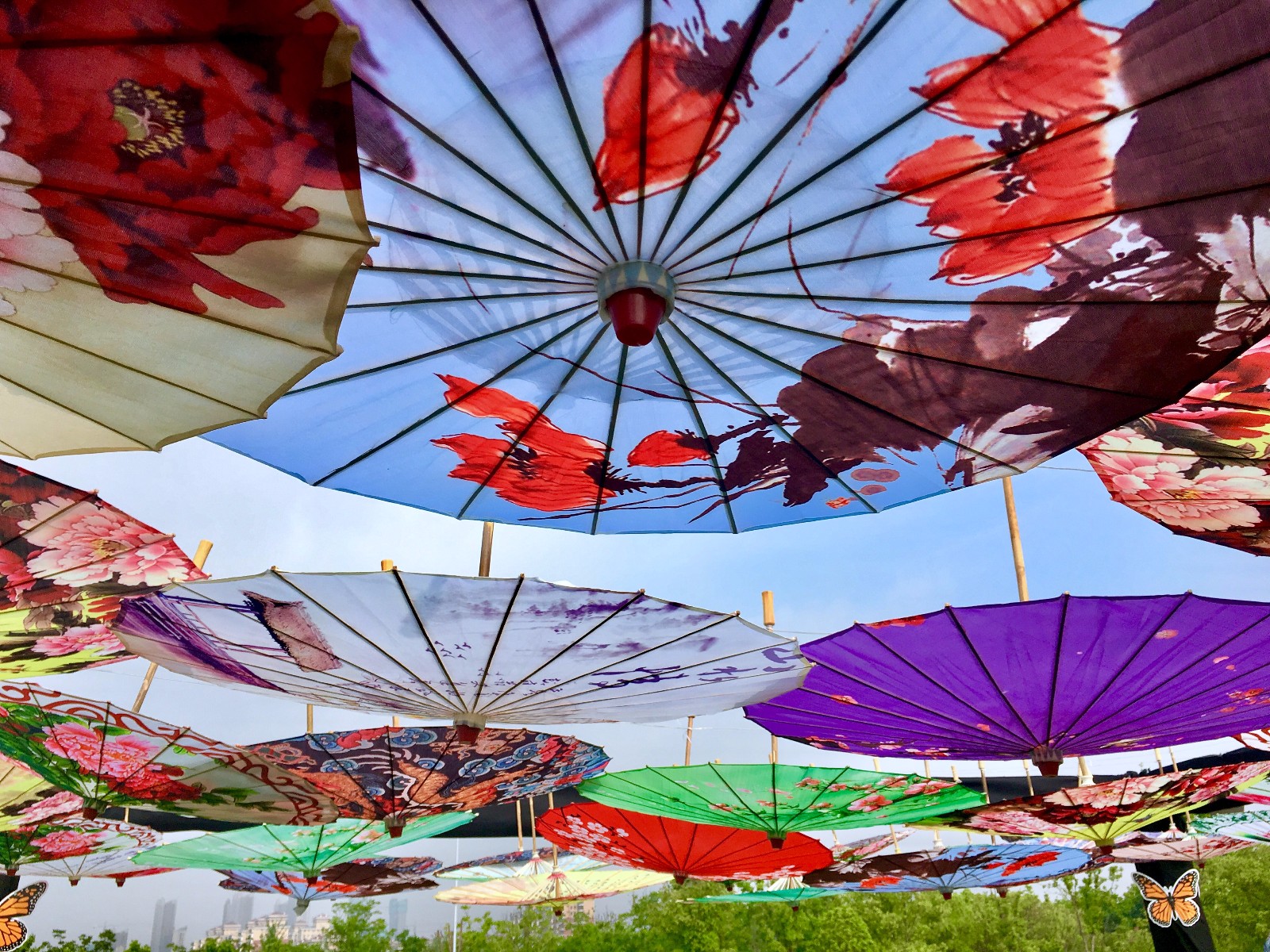 蓝天 花伞 阳光