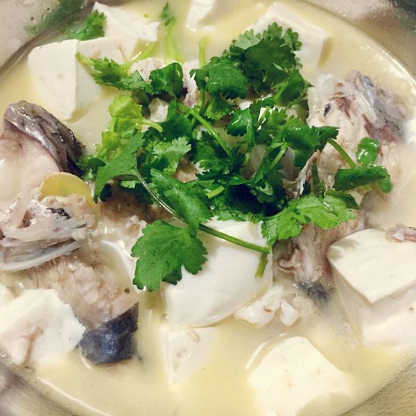 豆腐配上它几分钟一锅营养又健康补充钙质胜过补药