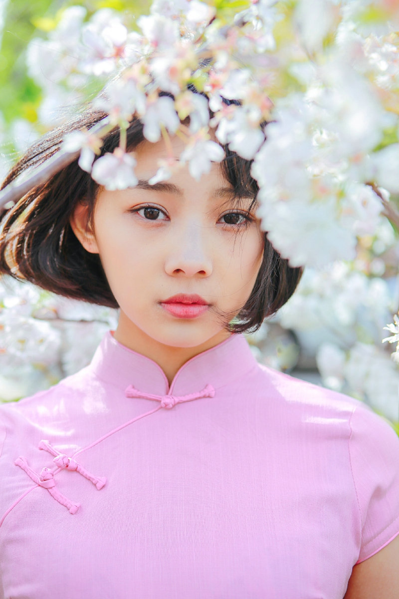 粉嫩民国风美女樱花海洋中养眼迷人写真集 @微相册 @微博摄影