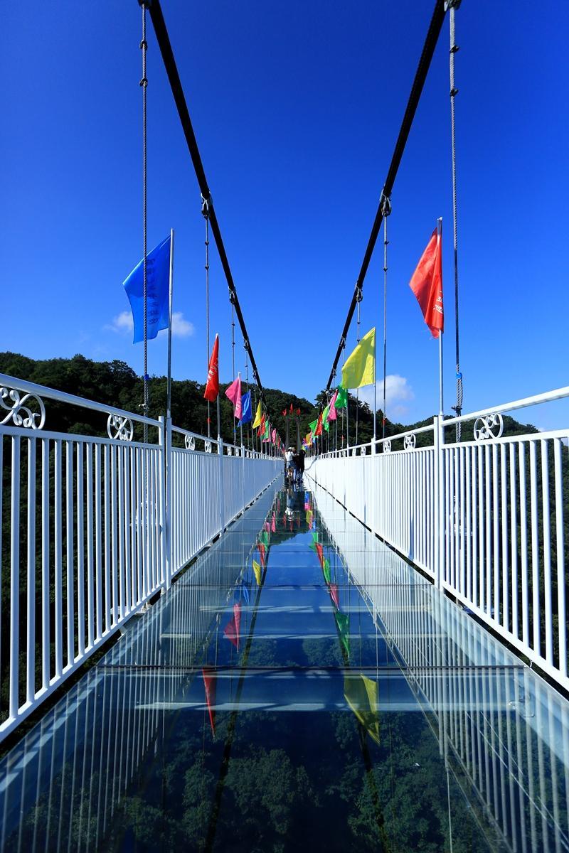 河南最长玻璃吊桥开园迎宾 美女忙拍照老人惊呼太刺激