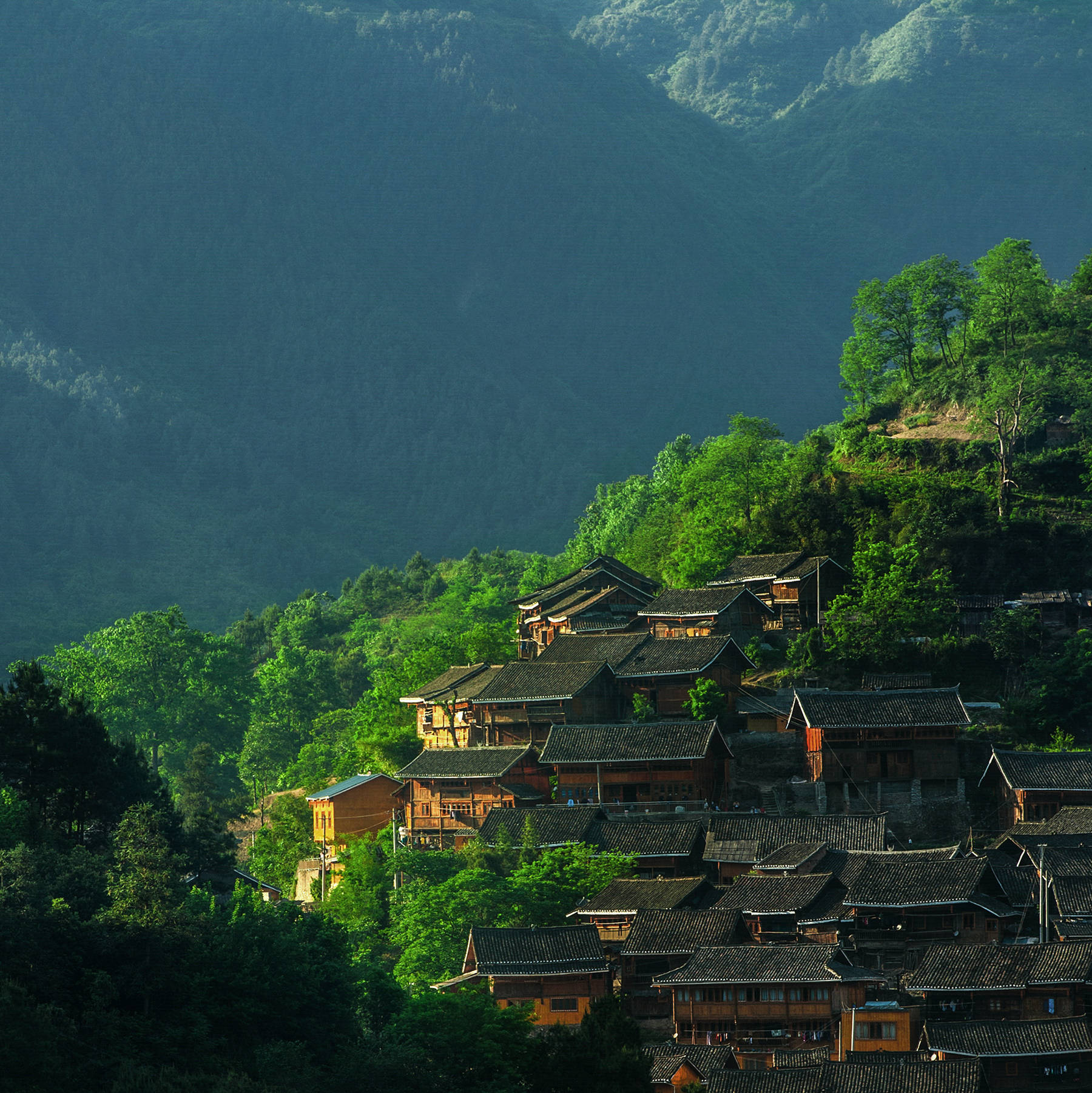 绿树村边合青山郭外斜