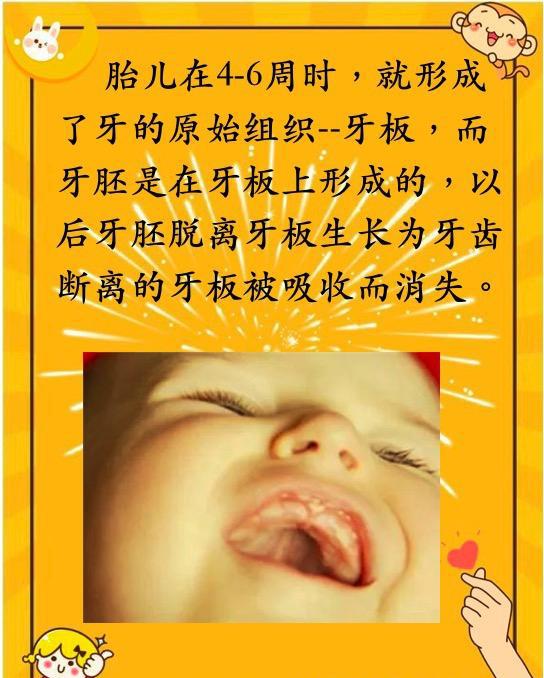 宝宝出现爱摇头有可能是长了马牙:妈妈千万不要用针挑
