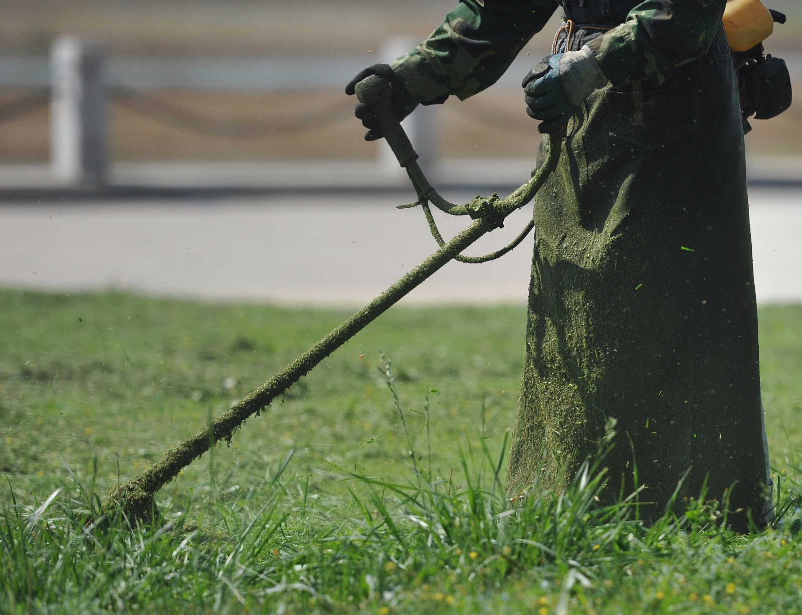 男子烈日下割草,日赚50元不嫌少