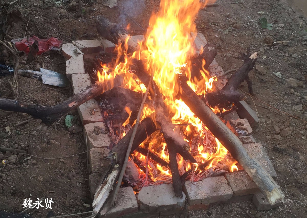 年轻陶艺师相聚野外挖坑烧火不是吃烧烤是坑烧陶器
