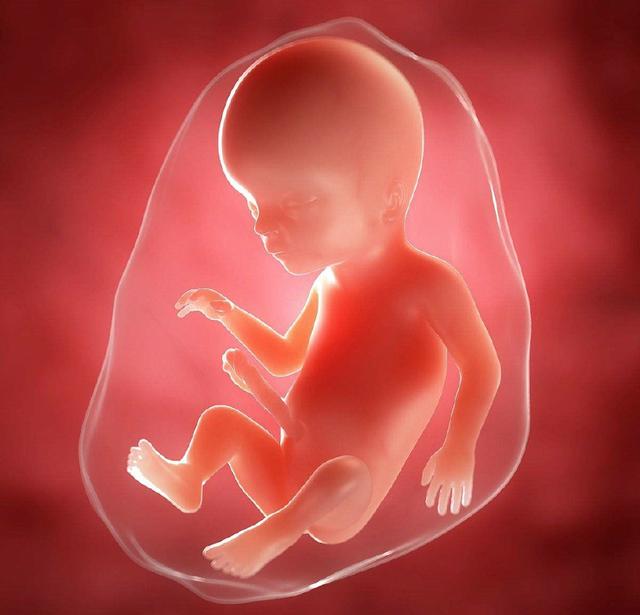 孕妈经常担心胎儿畸形,做好3点预防,2次检查,轻松度过危险期|叶酸|胎