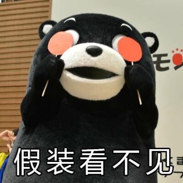怎么了我看不见了,怎么眼前一片漆黑呢,看不见就是看不见熊本熊我们