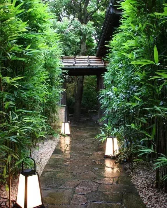 春天,庭院是最美的地方