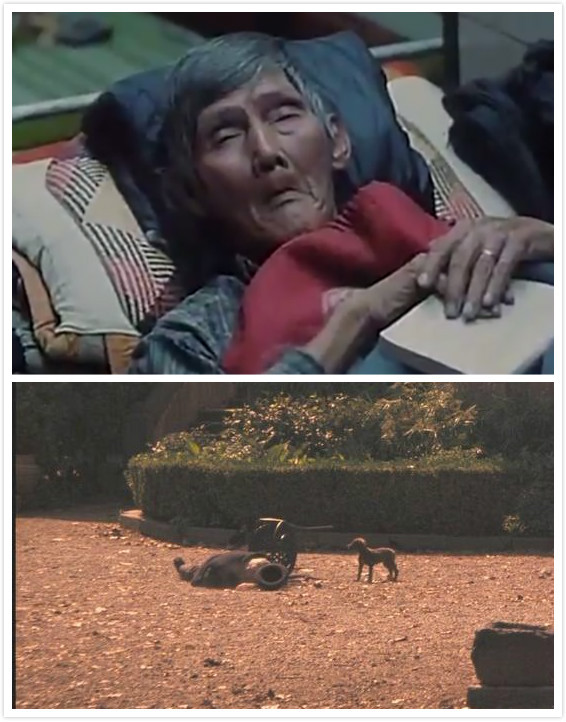 胜者为王是否真正义看教父怎么说四