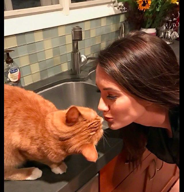 ​女主亲猫它很配合,而男主亲它却把头扭了过去,表情还很嫌弃!|表情