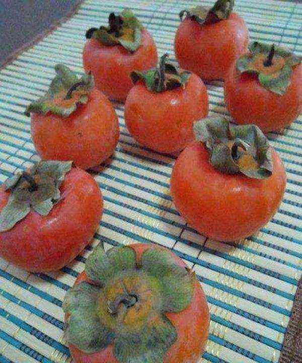 柿子蒂是个宝,我们用它煮水喝,可以解决很多的问题