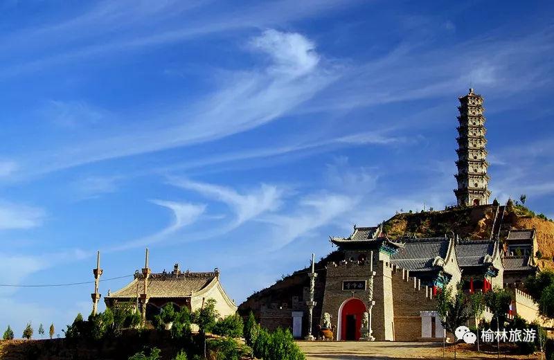 【寻树记】黄土文化育古树, 魅力子洲观胜景