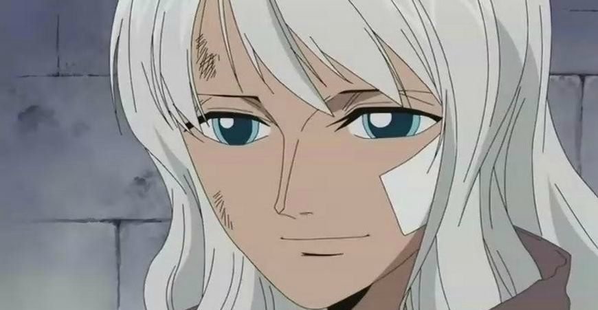 怀迪贝被成为冰之魔女,是白胡子麾下的43位联盟海贼团的船长之一,出现