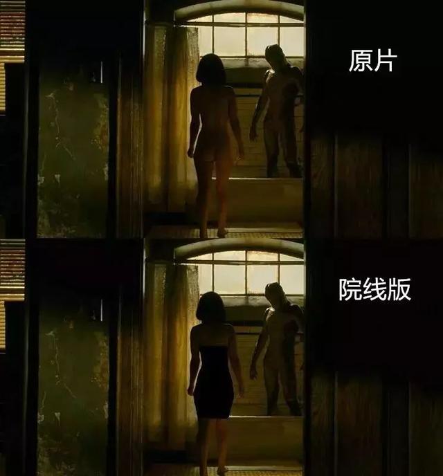 《水形物语》未删减版里有这些内容!