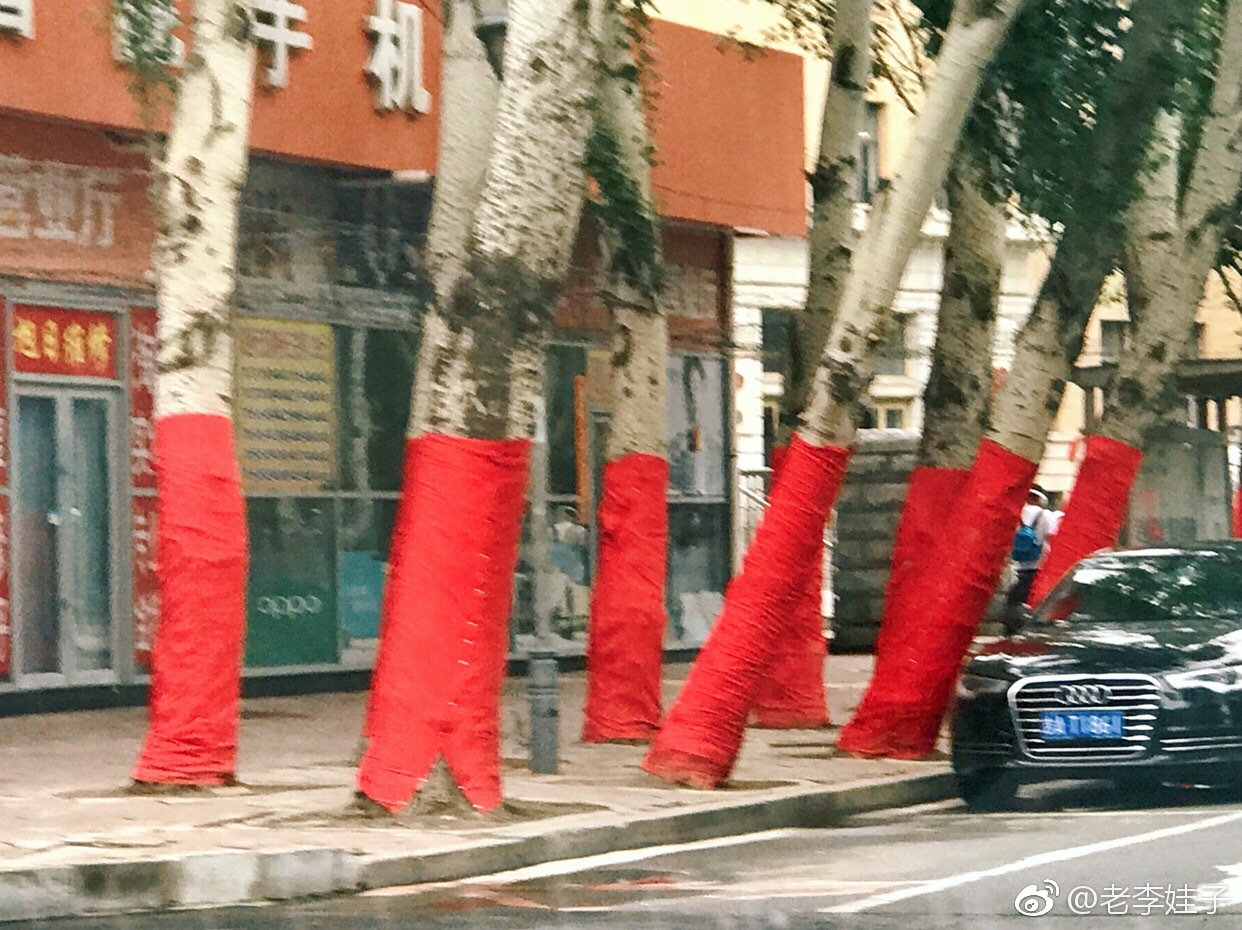 谁能解释一下