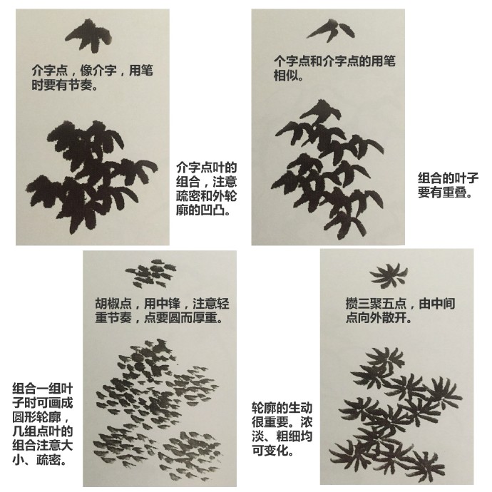 国画入门教程 ·画树法《点叶法 》