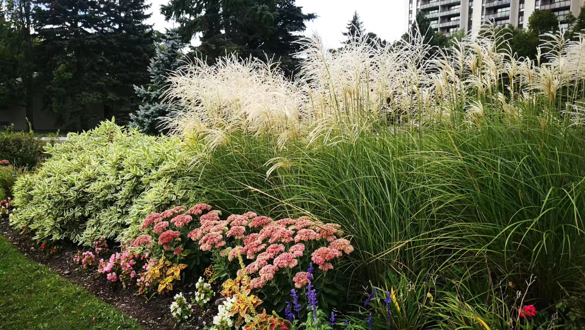 初秋的加拿大安大略省