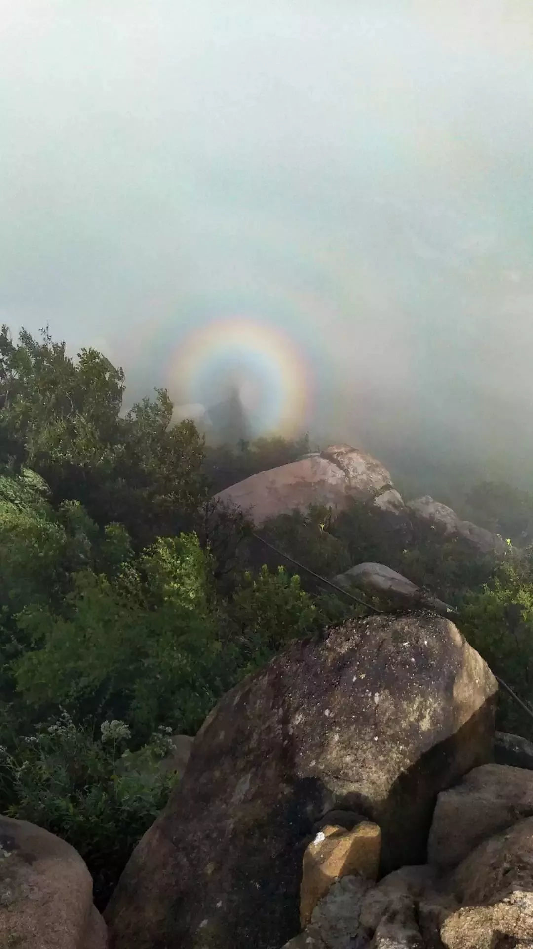 昨日,泰安新泰莲花山惊现佛光云海奇景,引市民游客驻足!