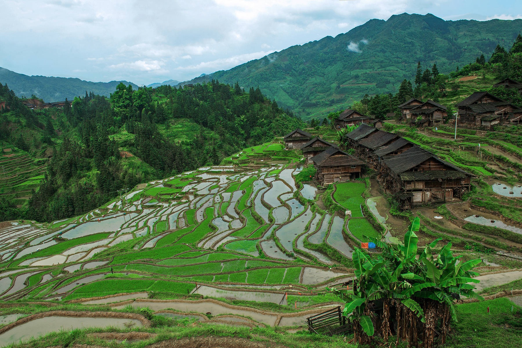 绿树村边合青山郭外斜