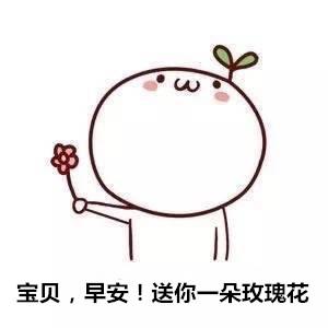 用这种方式问候你的有趣表情包早上好我的小宝贝