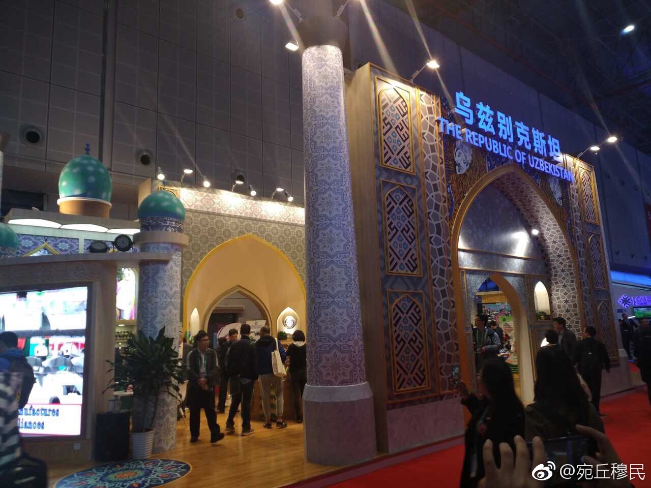 际进口博览会,貌似也太明目张胆地沙化阿化清