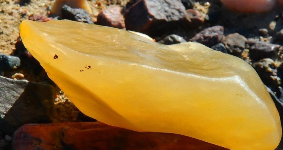 戈壁滩上的这种石头, 每克最高能卖10万元, 每天十几万人来捡!