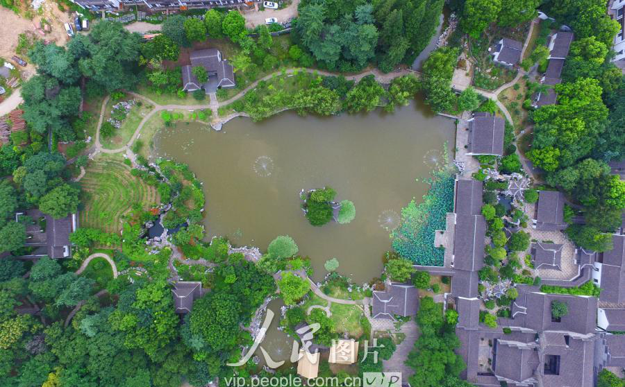 航拍南京600年历史愚园满园翠绿尽显江南风