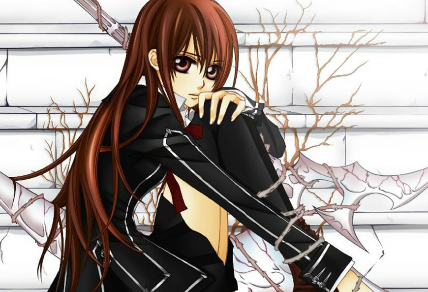 1,黑主优姬,出处《吸血鬼骑士》,这简直就是个绿茶婊,同时吊着两个男