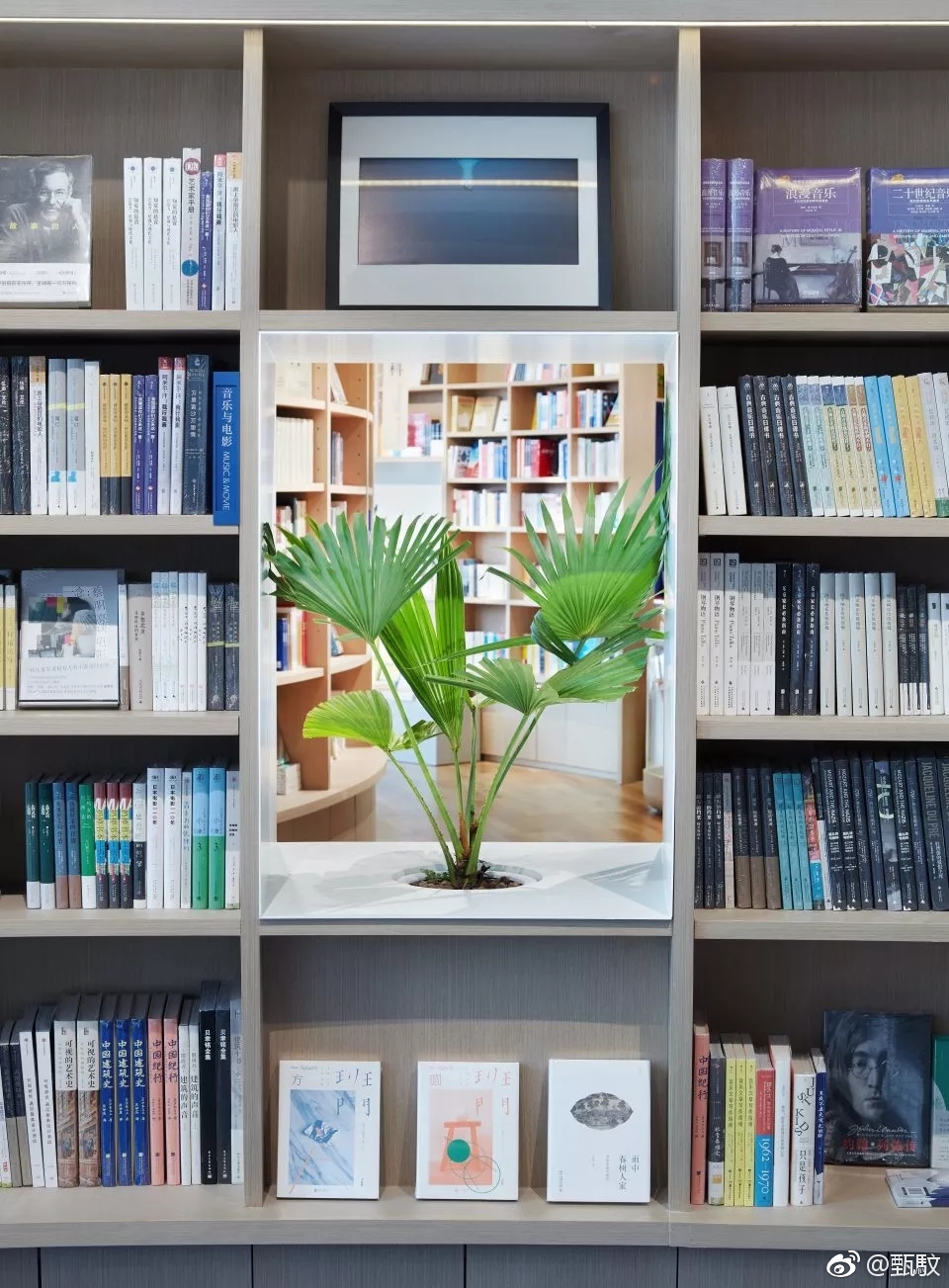 置身书海,无尽享受.