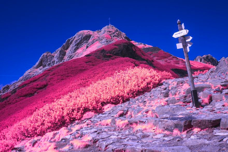 肉眼看不到,摄影师用红外相机拍出了一个"粉色世界"|相机|滤镜|波段