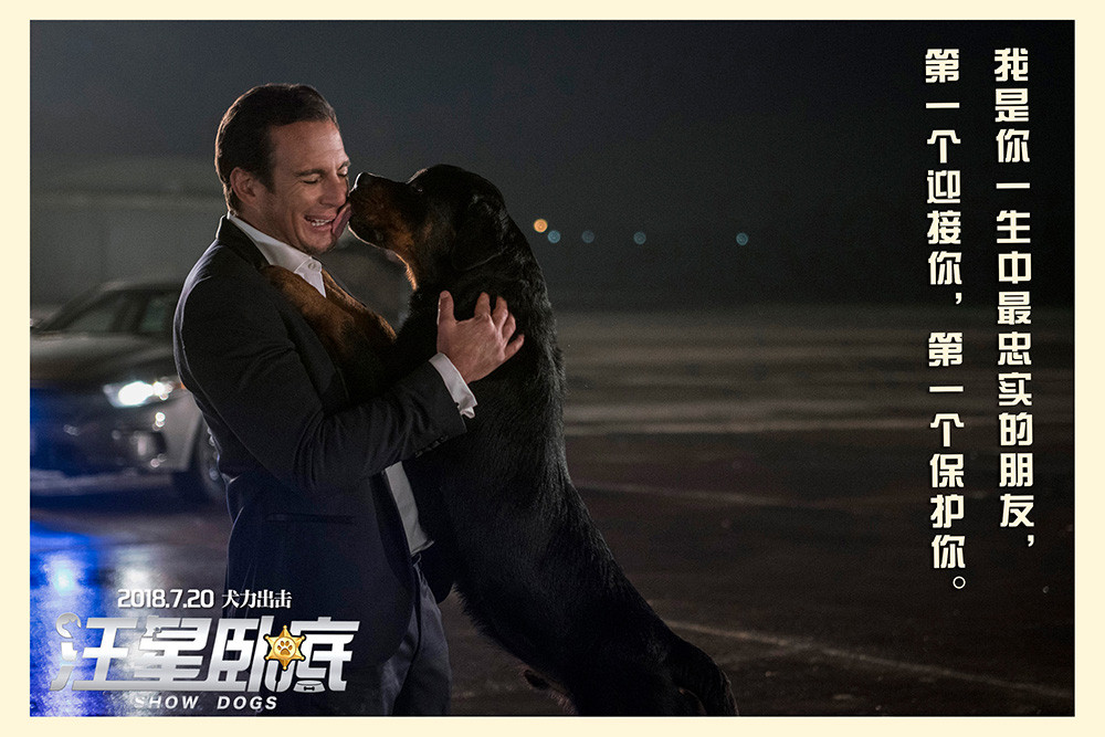 卧底任务有多危险 全球卧底行动大揭秘