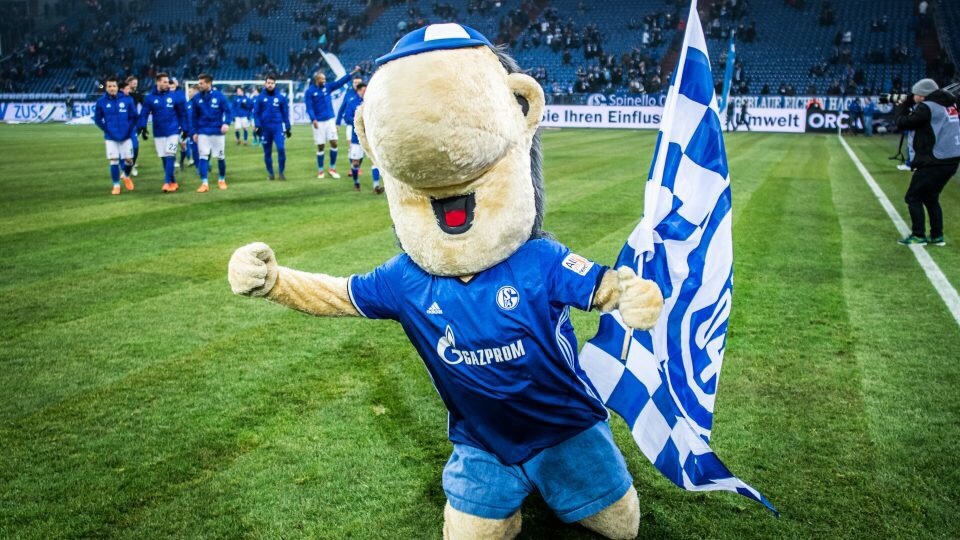 沙尔克04足球俱乐部 vs. @多特蒙德足球俱乐部 !鲁尔德比在即!