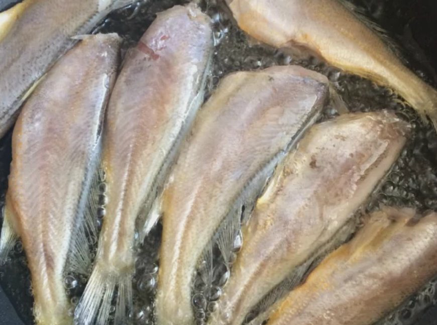 自制鲜咸干香又香酥化骨的黄花鱼罐头越嚼越香配白米饭一级棒