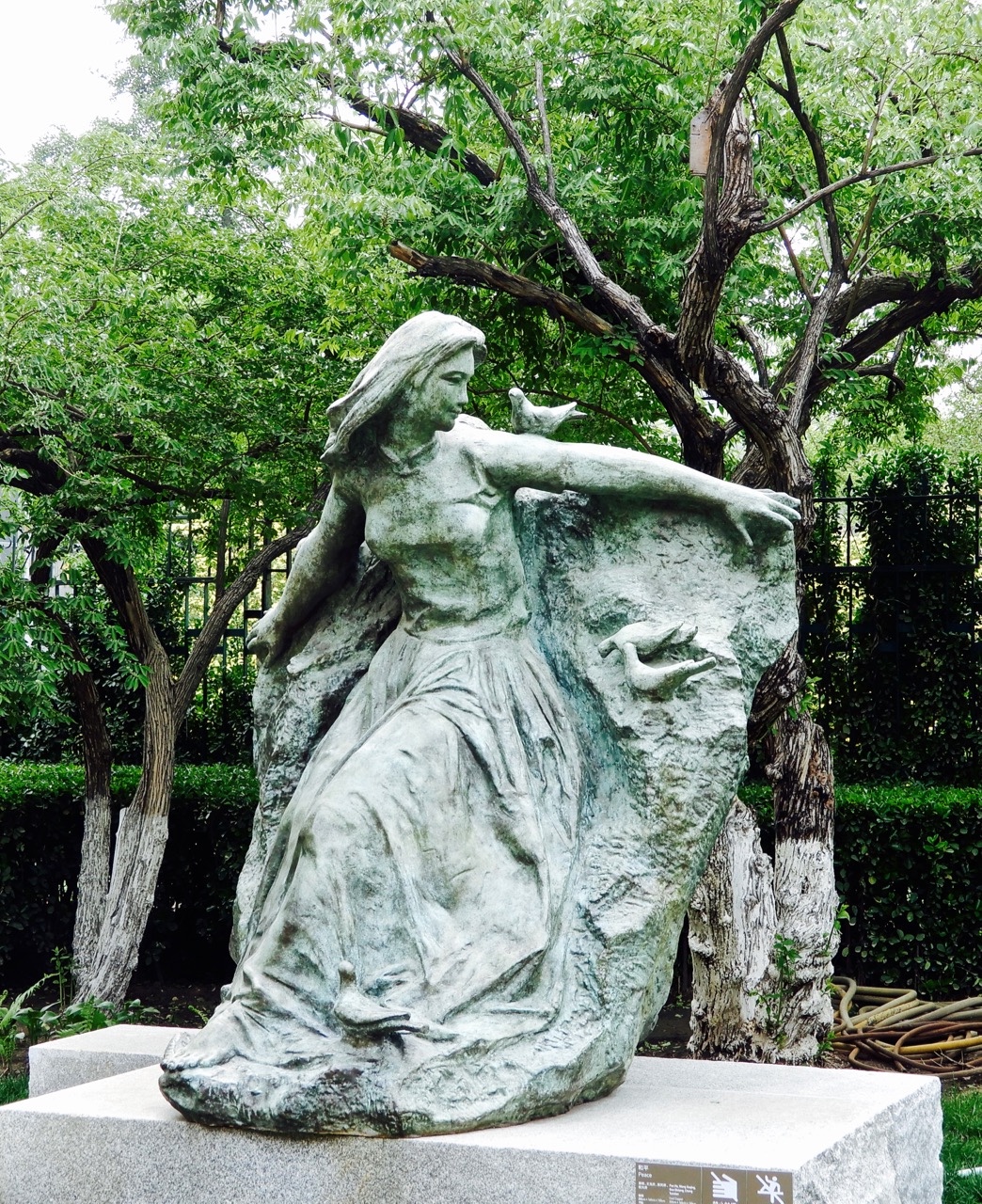 和平女神五四青年上班的人们发现身边的美好.