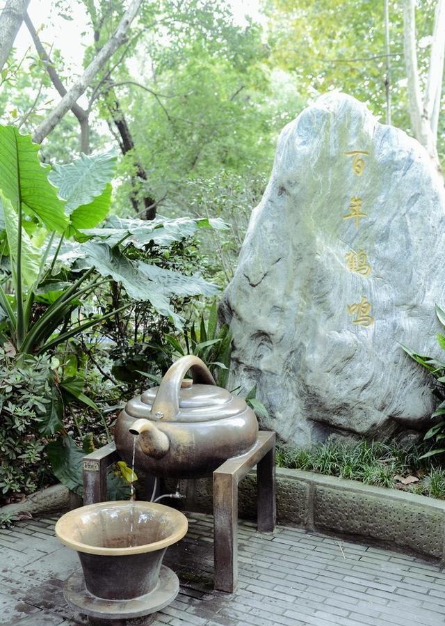 成都人每天都在这里喝茶打牌掏耳朵,是不是很羡慕?