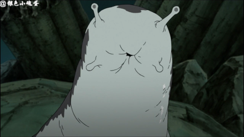 蛞蝓传讯给纲手,联军正在和不完全的十尾交战,五影前往战场