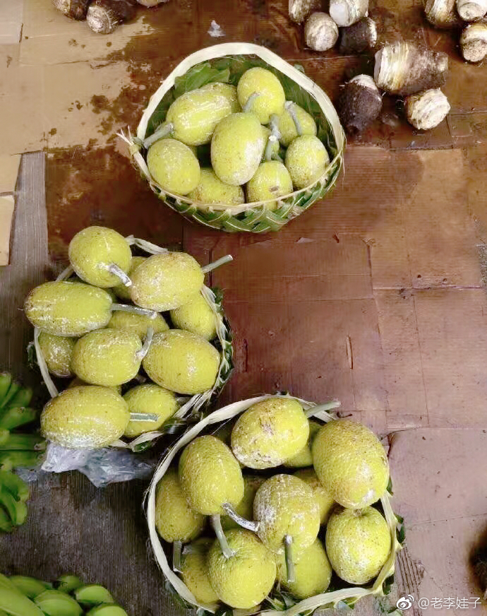 帕果帕果的面包果很是神奇这个看似香梨的东西