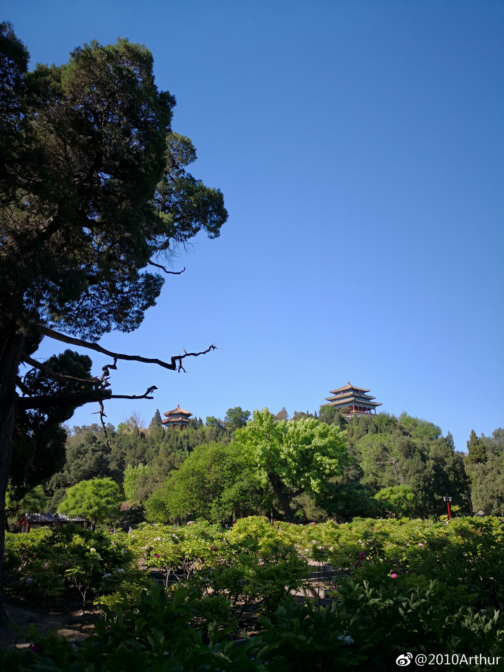 北京初夏,手机随拍景山公园