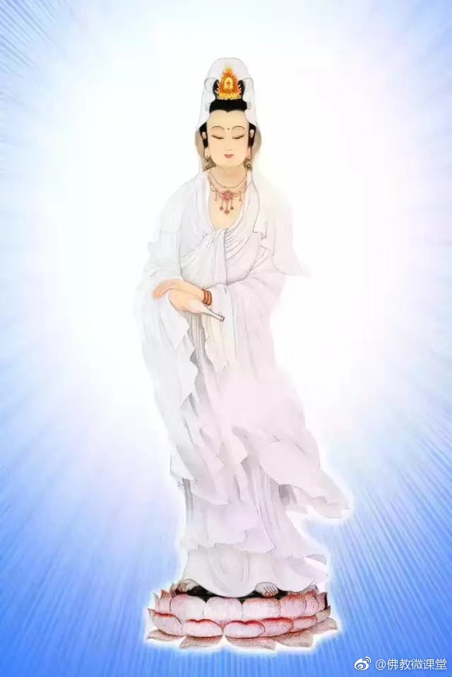 今天农历六月十九|观世音|南无|菩萨_新浪新闻