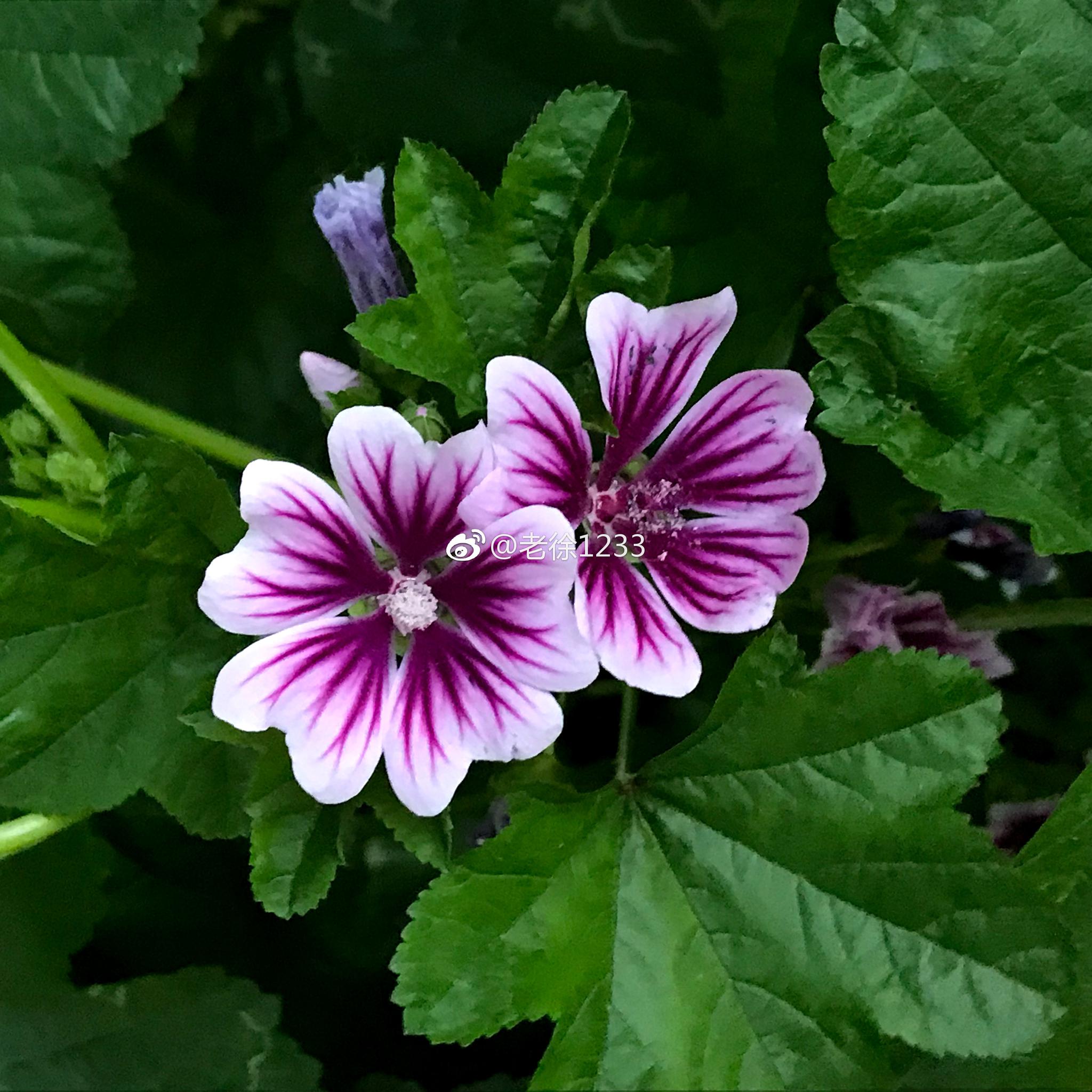 现实而又梦幻,睿智而又温柔,无论怎样的形态都来自于它内在的深刻